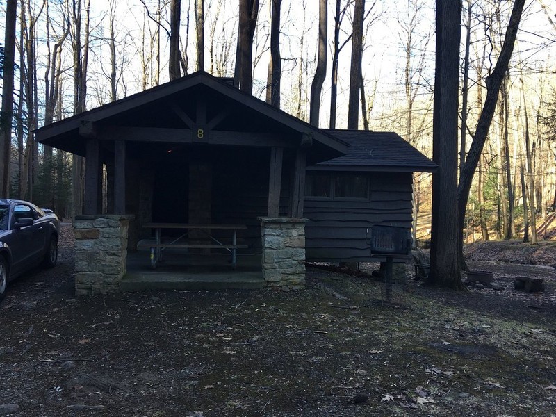 Dark light cabin, colored image with trees behind the cabin, light dirt surrounding the cabin