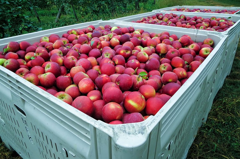 The farm was originally an apple orchard. (Photo courtesy of Bubba’s Garage Blog)