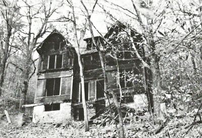 Building, Window, Plant, House