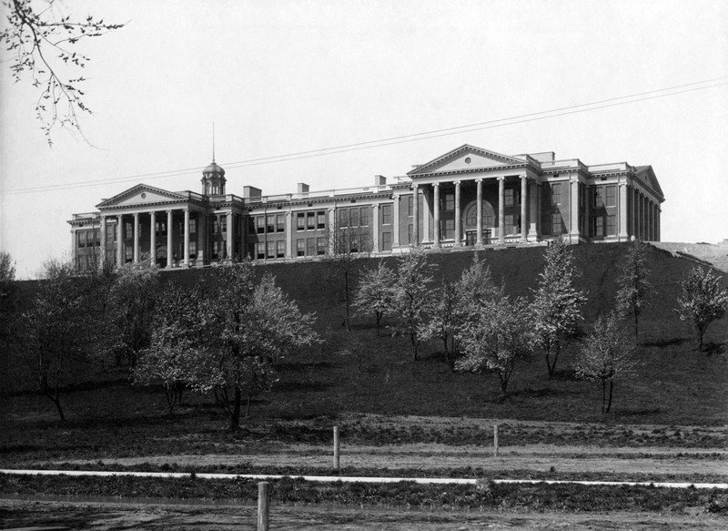 Sky, Tree, Black-and-white, Building