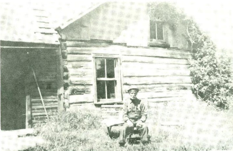 Building, Window, Plant, House