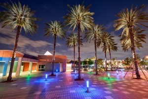 Resort, Palm tree, Lighting, Property