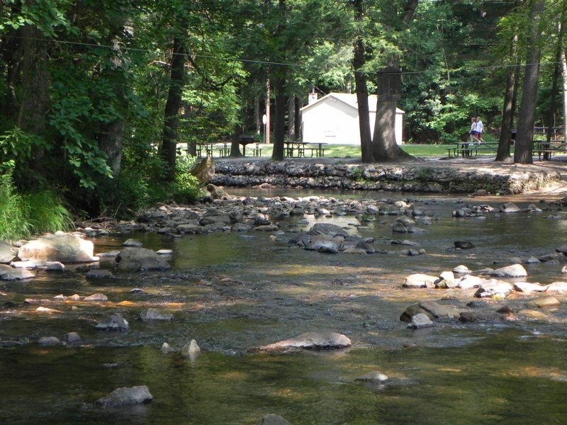 This is a creek at Caledonia State Forest Park (Image from stateparks.com).