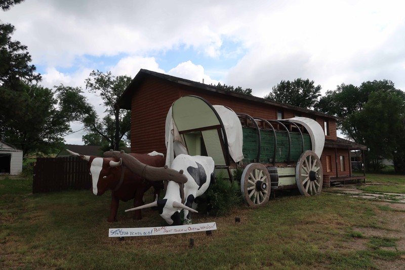 Oxen Pulling a Prairie Schooner.