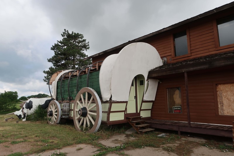 Oxen Pulling a Prairie Schooner.
