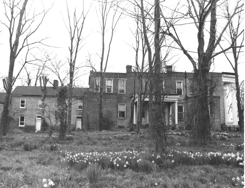 Plant, Building, Property, Window