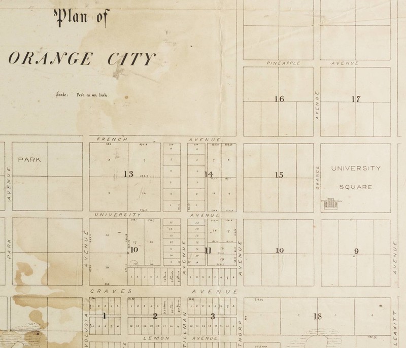 Map and Plan of Orange City, Volusia County, Florida. By Edward R. Trafford, 1877.