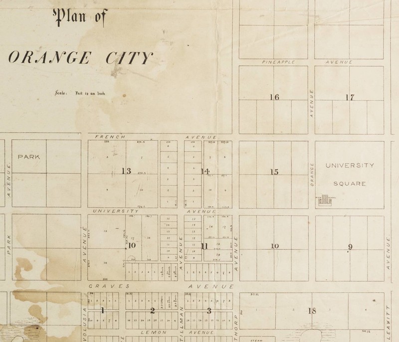 Map and Plan of Orange City, Volusia County, Florida. By Edward R. Trafford, 1877. 