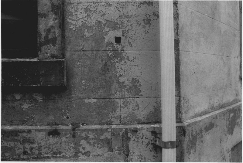 Closeup of the Brickwork on the Octagon House in August of 1979 by Stephen H. Hirschberg