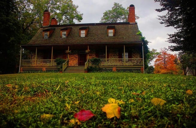 Flower, Plant, Building, Window