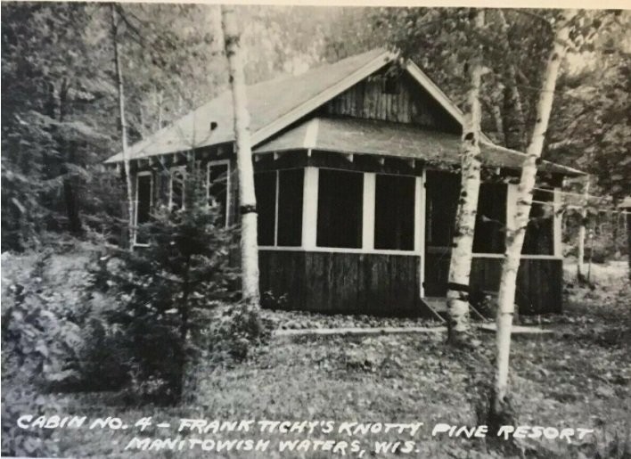 Plant, Building, Tree, Wood