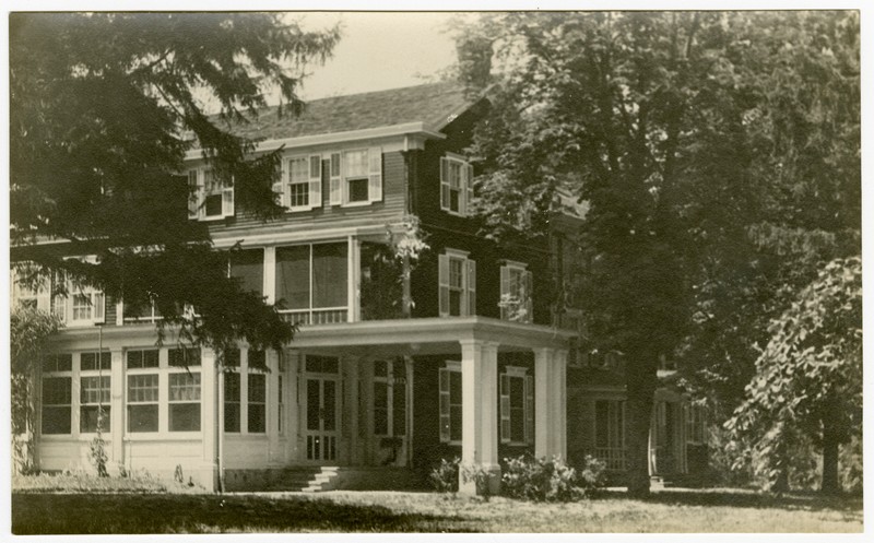 Plant, Building, Tree, Window