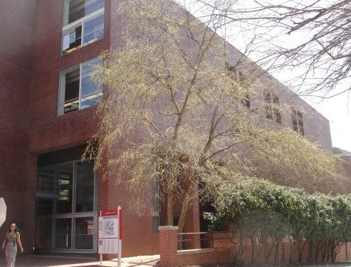 Photo from https://projects.ncsu.edu/facilities/buildings/kamp.html