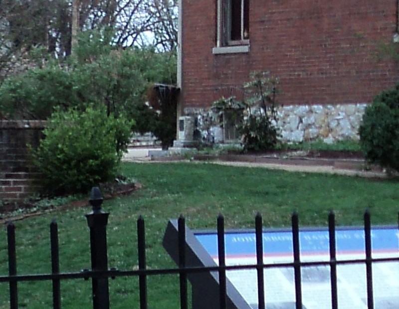 Plant, Property, Window, Building