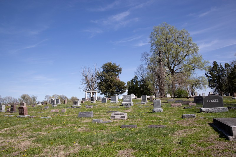 Cloud, Sky, Plant, Cemetery