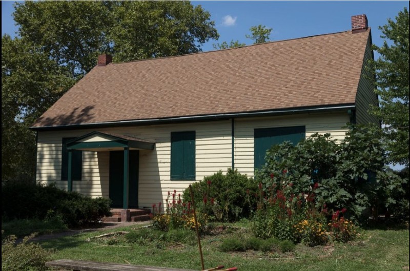 Plant, Window, House, Property