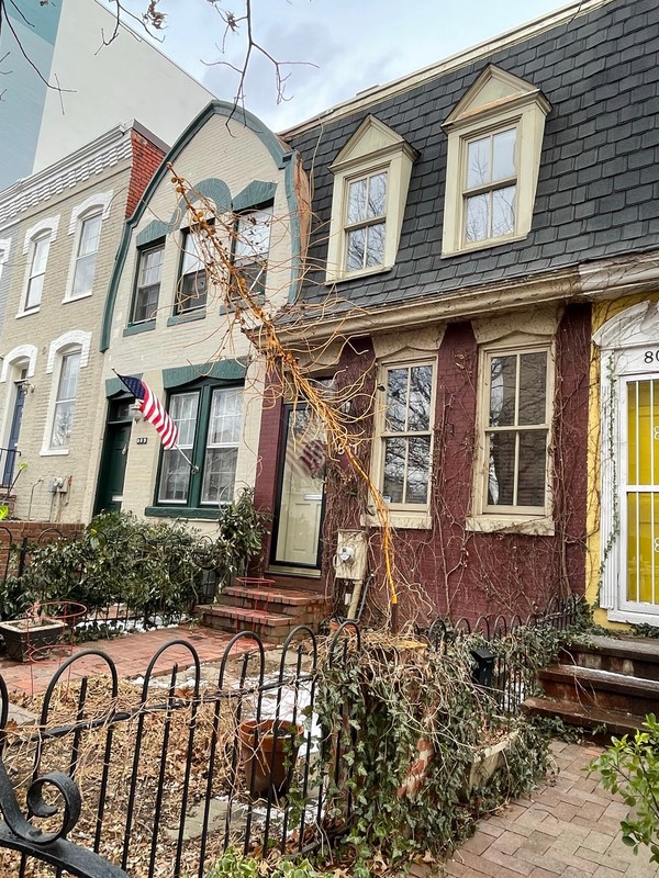 Plant, Window, Building, Property