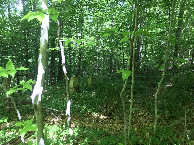 A couple of the headstones found in the heavily forested section of the cemetery. 