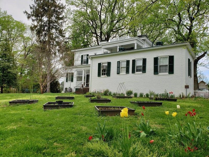 Plant, Building, Property, Window