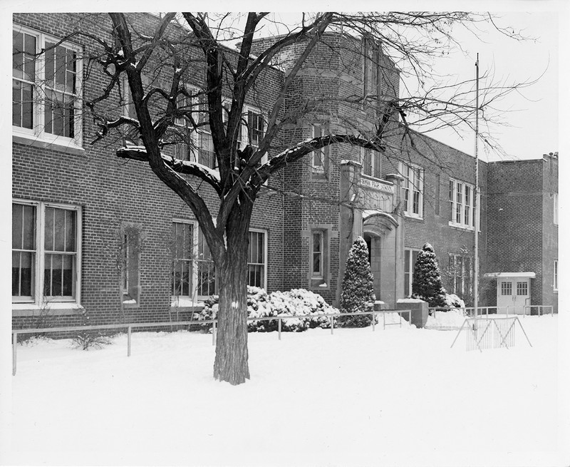 Plant, Building, Window, Snow