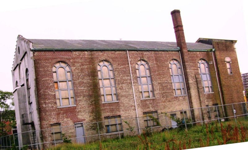 Plant, Building, Window, Sky