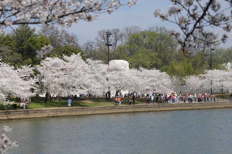 Body of water, People, Branch, Water resources