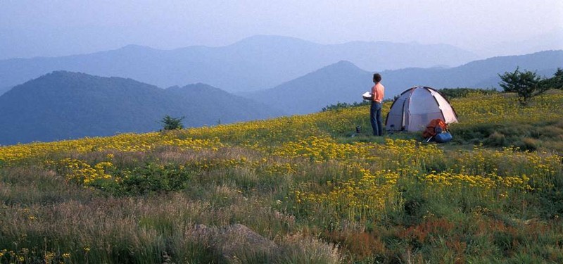 Roan Mountain State Park, Tennessee.