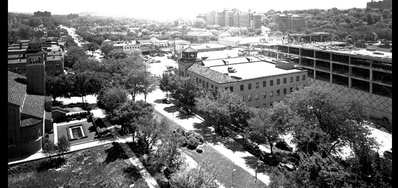 Building, Plant, Tree, Black-and-white