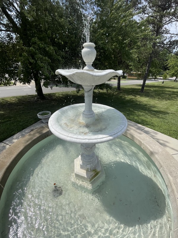 Water, Tree, Botany, Fountain