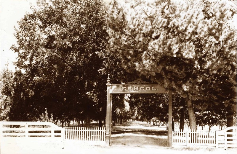 "Eschol," the original name of the winery designed by Captain Hamden McIntyre