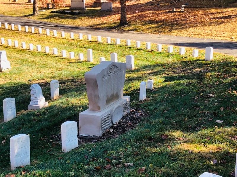 Plant, Light, Leaf, Cemetery