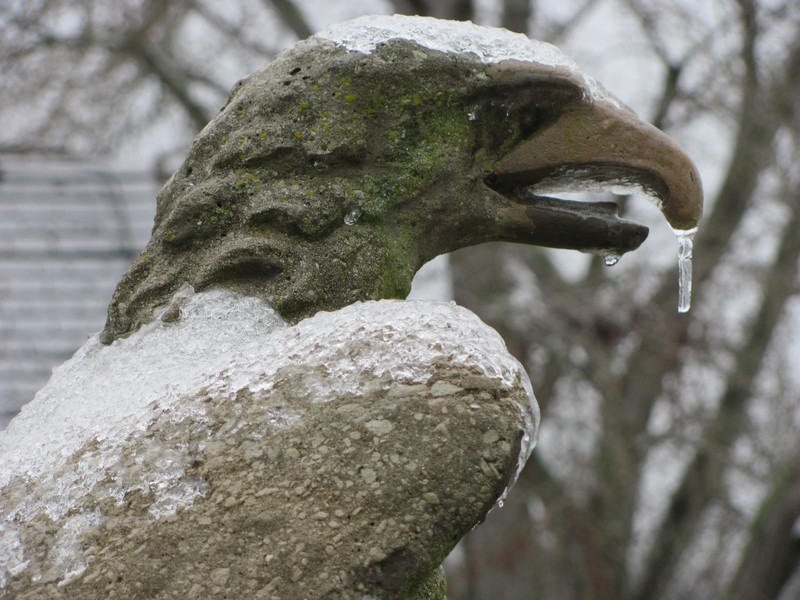  Eagle Statue