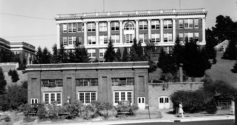 Plant, Building, Property, White