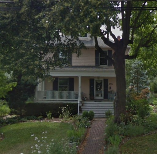 Plant, Window, Tree, Building