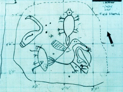 field sketch of Wildcat Branch Petroglyphs