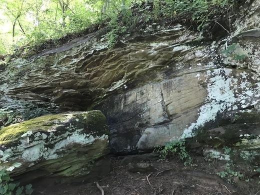 Rock which contains Luther Elkins Petroglyph