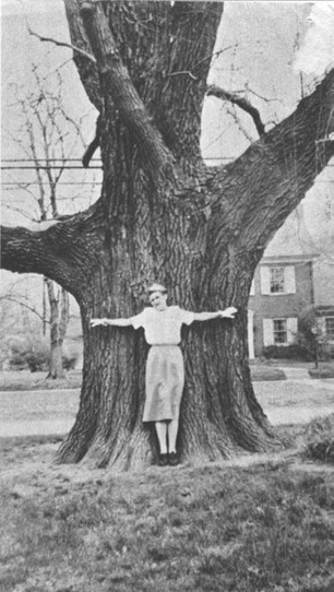 Grace Rash hugging the sassafras tree, date unknown