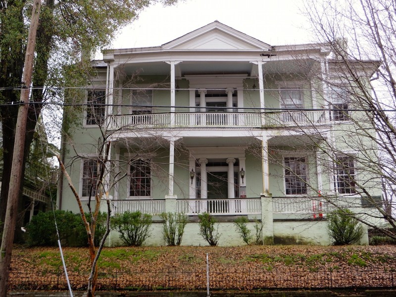 Building, Window, Plant, Property