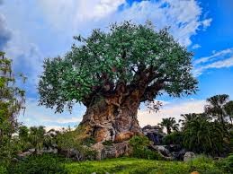 Animal Kingdom's Tree of Life