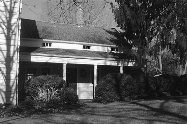 Plant, Building, Window, Tree