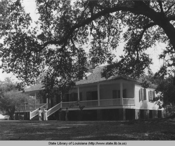 Building, Plant, Tree, Black-and-white