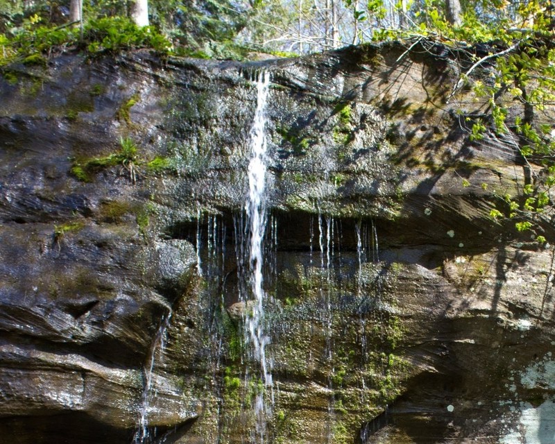 Anglin Falls