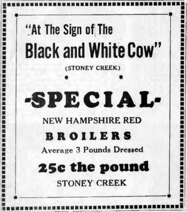 At the Sign of the Black & White Cow, newspaper ad, Rochester Era, July 15, 1938