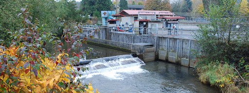 Issaquah Creek and hatchery facilities.