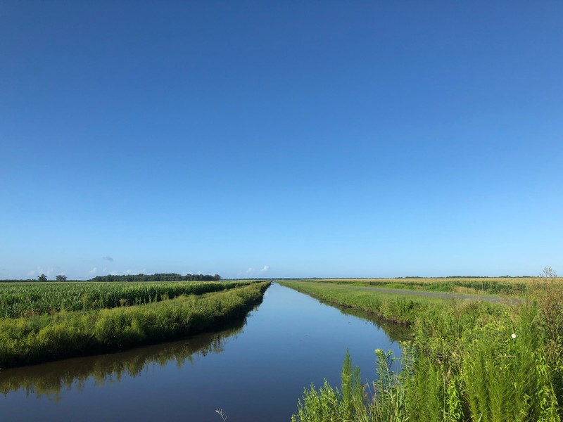 Water, Sky, Plant, Azure