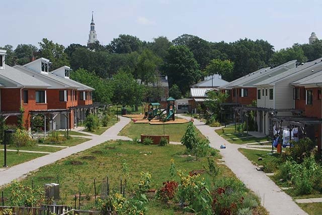 A view of some of the crops housed in the Ecovillage