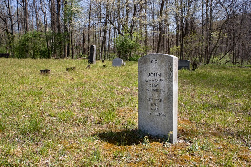 Plant, Tree, Cemetery, Natural landscape