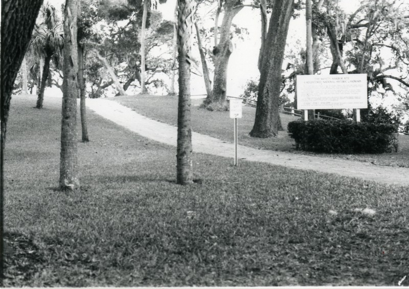 A trail at Philippe Park in Safety Harbor, Florida, undated. Wood for the Safety Harbor Church came from E.H. Coachman’s sawmill, which was located on property that is now within Philippe Park. 