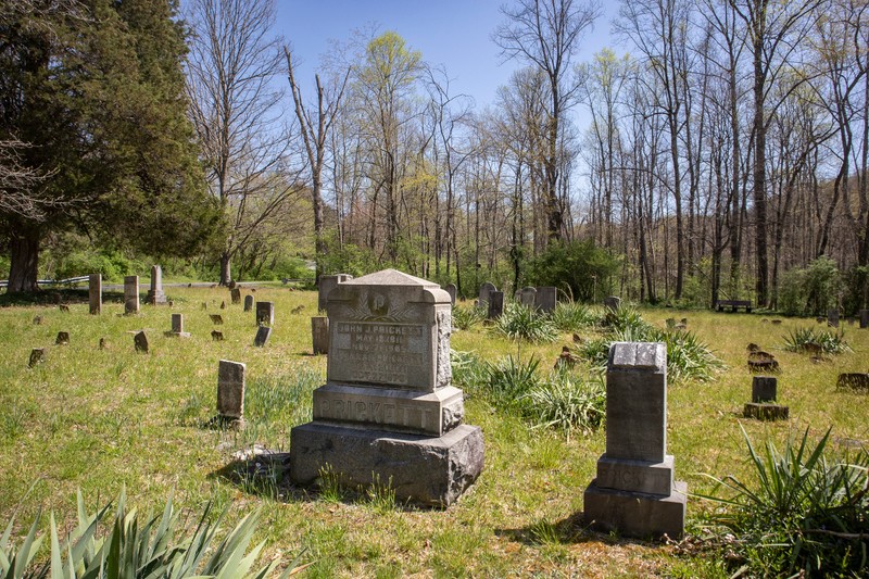 Plant, Sky, Tree, Cemetery