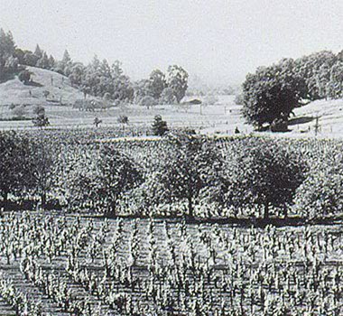 Beaulieu Vineyards, c. 1903